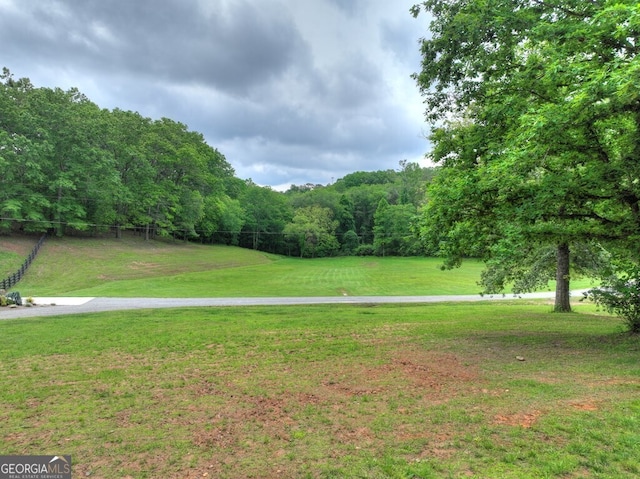 270 Stone Ln, Blue Ridge, GA 30513 - view of green lawn with a forest view