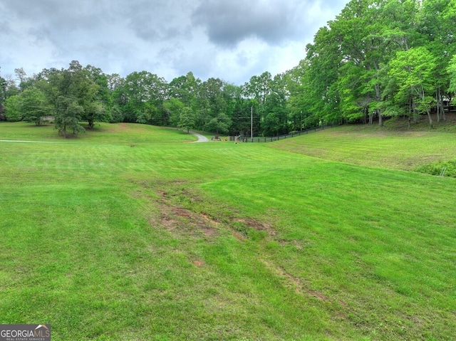 270 Stone Ln, Blue Ridge, GA 30513 - view of grassy yard