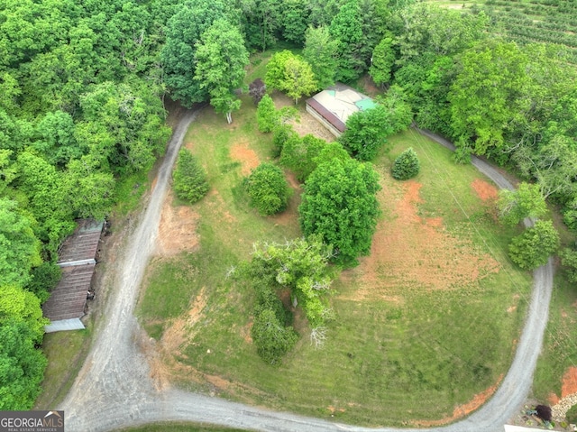 270 Stone Ln, Blue Ridge, GA 30513 - aerial overview of property's location