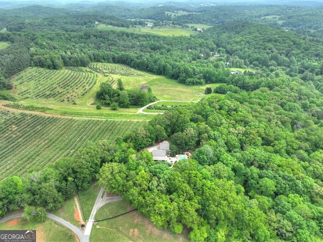 270 Stone Ln, Blue Ridge, GA 30513 - aerial view of property and surrounding area with a forest, large plots for crops, and rural landscape