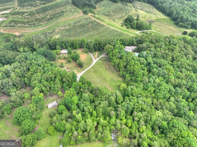 270 Stone Ln, Blue Ridge, GA 30513 - aerial view of property's location featuring large plots for crops and rural landscape