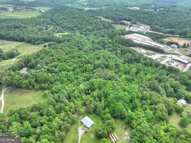 270 Stone Ln, Blue Ridge, GA 30513 - aerial overview of property's location featuring a forest