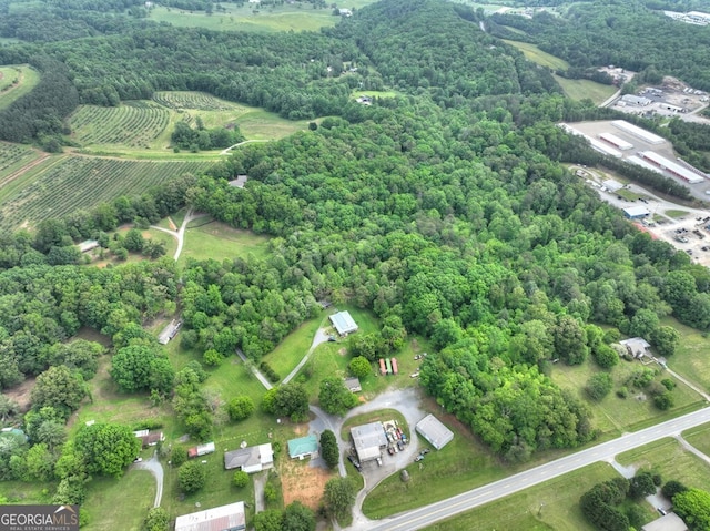 270 Stone Ln, Blue Ridge, GA 30513 - drone / aerial view of abundant farmland
