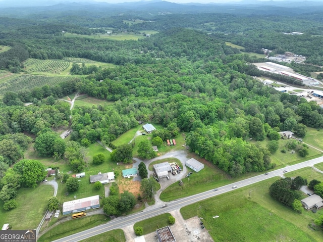 270 Stone Ln, Blue Ridge, GA 30513 - aerial view of a heavily wooded area and a mountainous background