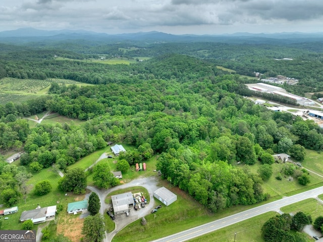 270 Stone Ln, Blue Ridge, GA 30513 - aerial view of a forest and mountains