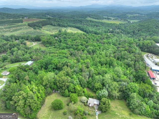 270 Stone Ln, Blue Ridge, GA 30513 - aerial view of property and surrounding area featuring a forest and mountains