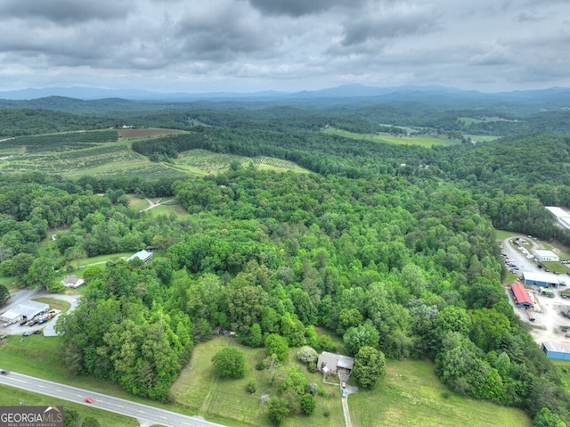 270 Stone Ln, Blue Ridge, GA 30513 - drone / aerial view of a forest and mountains