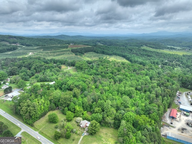 270 Stone Ln, Blue Ridge, GA 30513 - aerial view of a forest and a mountainous background