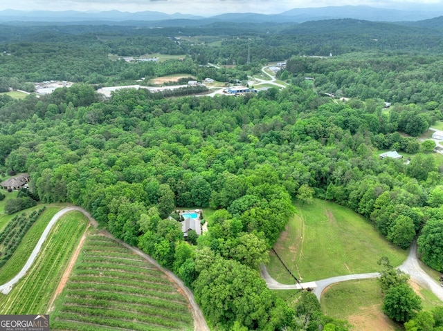270 Stone Ln, Blue Ridge, GA 30513 - aerial view of property's location featuring a forest and mountains