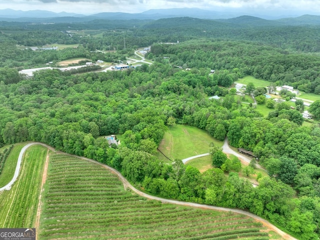 270 Stone Ln, Blue Ridge, GA 30513 - aerial view of property and surrounding area featuring a heavily wooded area and a mountainous background