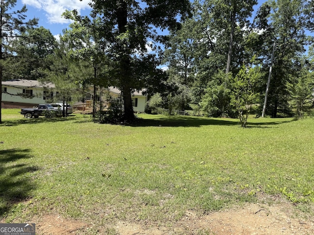 105 Hickory Crk, Bremen, GA 30110 - view of green lawn