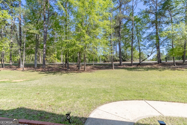 11389 Whitesville Rd, Fortson, GA 31808 - view of green lawn