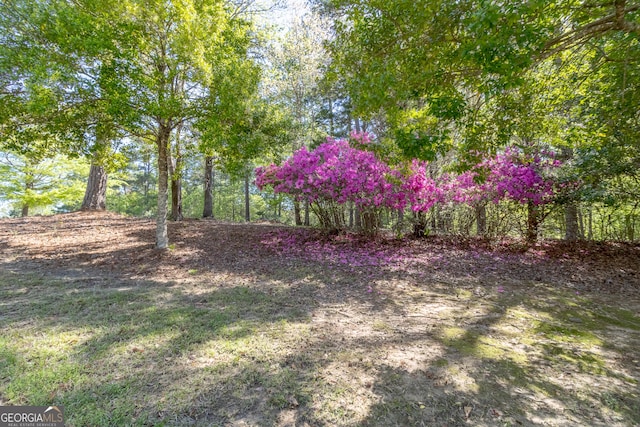 11389 Whitesville Rd, Fortson, GA 31808 - view of yard