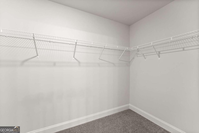 321 Magnolia Villas Dr, Cornelia, GA 30531 - walk in closet featuring carpet
