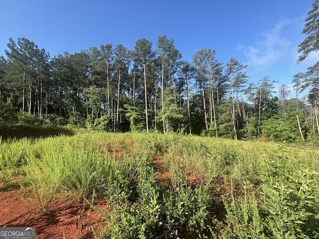 0 Davis Rd Unit 1.63, Acres, Eastanollee, GA 30538