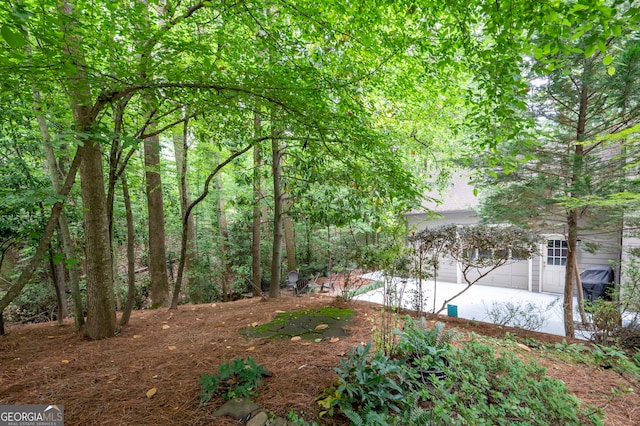 1560 Bubbling Creek Rd NE, Atlanta, GA 30319 - view of yard