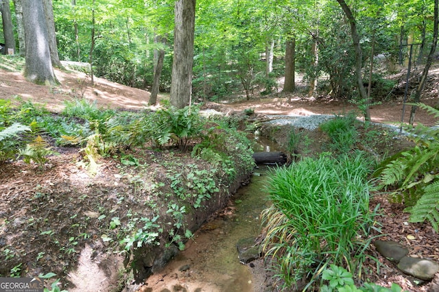 1560 Bubbling Creek Rd NE, Atlanta, GA 30319 - view of yard