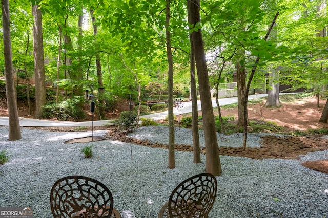 1560 Bubbling Creek Rd NE, Atlanta, GA 30319 - view of yard
