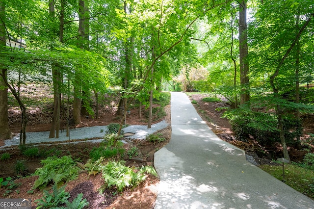 1560 Bubbling Creek Rd NE, Atlanta, GA 30319 - view of property's community