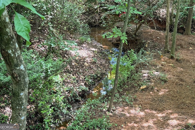 1560 Bubbling Creek Rd NE, Atlanta, GA 30319 - view of undeveloped land