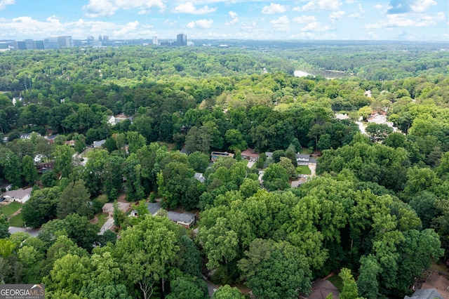 1560 Bubbling Creek Rd NE, Atlanta, GA 30319 - aerial view of a forest