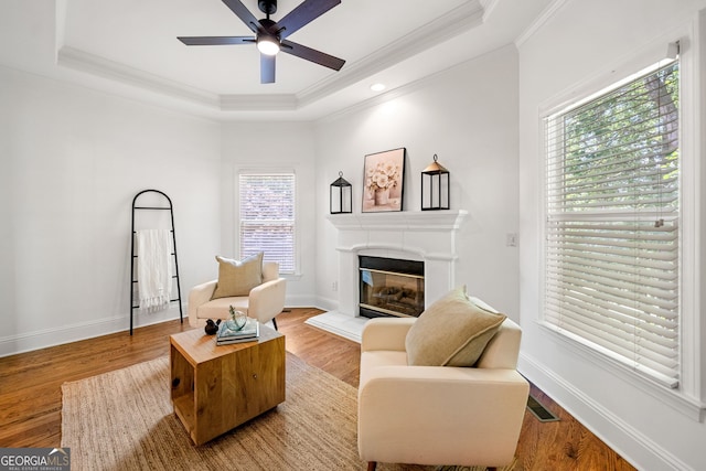 414 Dogwood Way, Canton, GA 30114 - living room featuring a raised ceiling, ornamental molding, healthy amount of natural light, ceiling fan, and a glass covered fireplace
