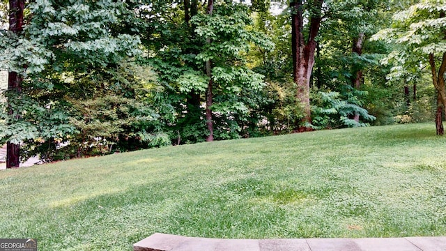 1477 Triple Creek Ct NW, Kennesaw, GA 30144 - view of grassy yard