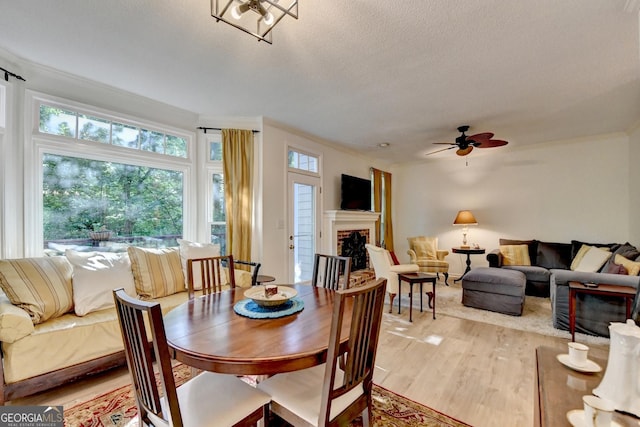 248 Riverview Trl, Roswell, GA 30075 - dining area featuring a fireplace, ornamental molding, light wood-style floors, a textured ceiling, and ceiling fan