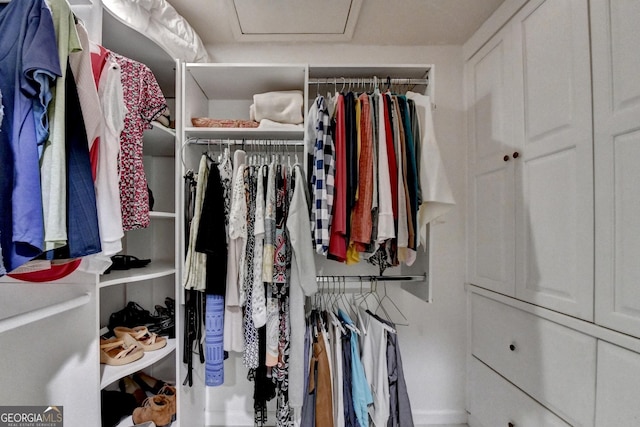 248 Riverview Trl, Roswell, GA 30075 - spacious closet with attic access