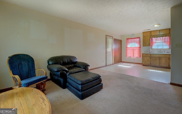 2809 S Ola Rd, Locust Grove, GA 30248 - sitting room with carpet flooring, baseboards, and a textured ceiling