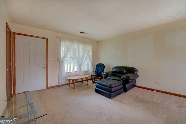 2809 S Ola Rd, Locust Grove, GA 30248 - living area featuring carpet floors, baseboards, and a textured ceiling