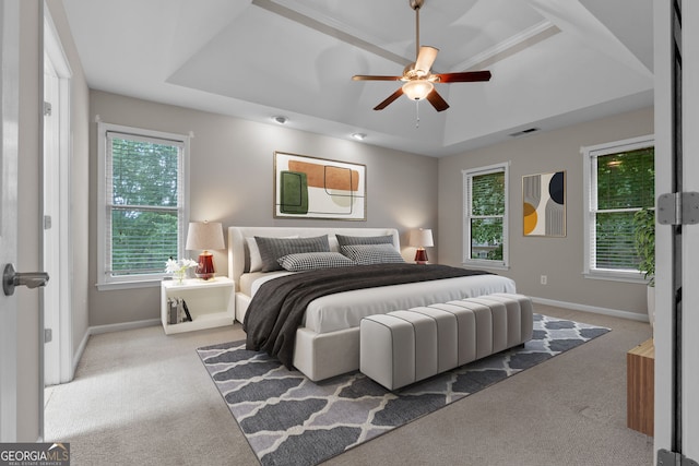 3642 Fowler Rdg, Douglasville, GA 30135 - bedroom featuring a tray ceiling, carpet, baseboards, and multiple windows