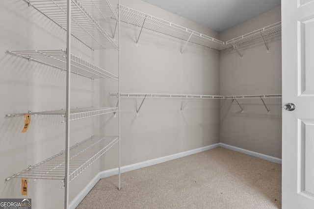 3642 Fowler Rdg, Douglasville, GA 30135 - walk in closet featuring carpet floors