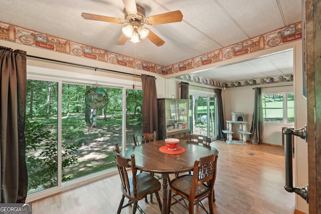 293 Timber Ridge Dr, Athens, GA 30607 - dining area with ceiling fan and wood finished floors