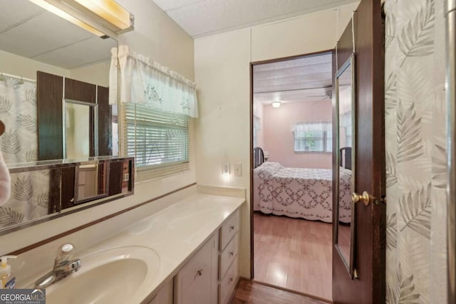 293 Timber Ridge Dr, Athens, GA 30607 - bathroom featuring ensuite bath, vanity, wood finished floors, and plenty of natural light
