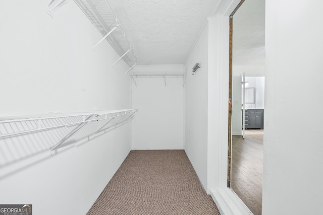 3210 Roseheath Ln, Lithonia, GA 30038 - spacious closet with carpet