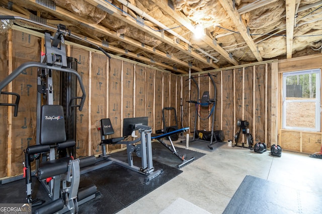 15 Jamilee Cv, Cartersville, GA 30120 - view of exercise area
