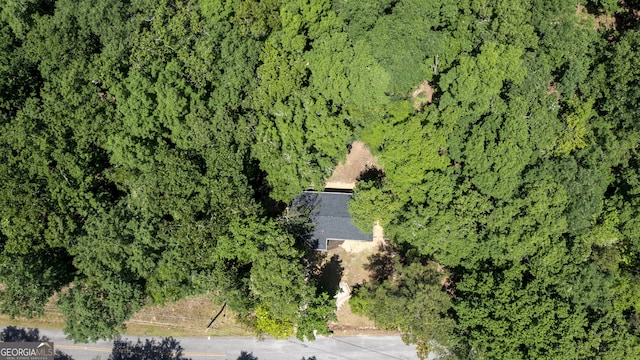 71 Cold Springs Rd, Warm Springs, GA 31830 - bird's eye view
