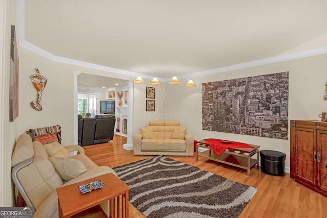 222 Mossy Pl, Alpharetta, GA 30005 - living area featuring ornamental molding and light wood finished floors
