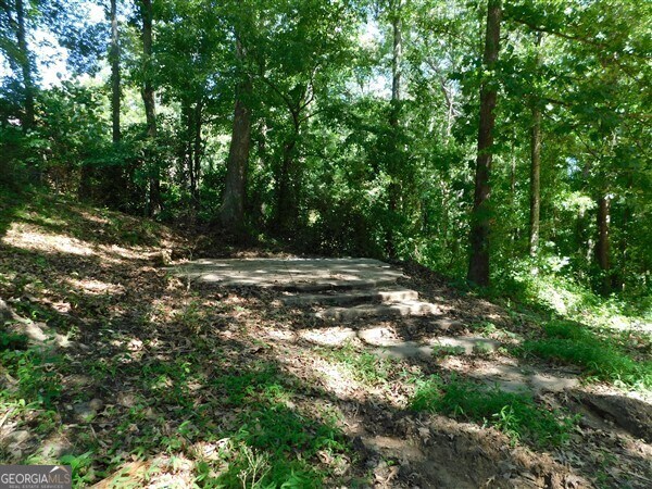 1306 Stonemont Rd, Auburn, GA 30011 - view of local wilderness