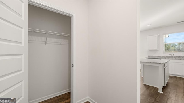 712 Curb Ct, Locust Grove, GA 30248 - closet with a sink