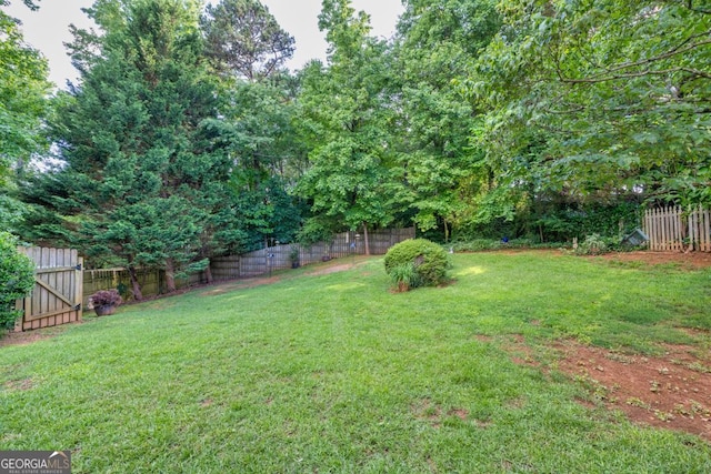 4174 Chatham Crest Ln, Buford, GA 30518 - view of yard