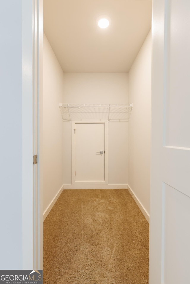 1225 Hibiscus Way, Mcdonough, GA 30253 - walk in closet featuring light colored carpet