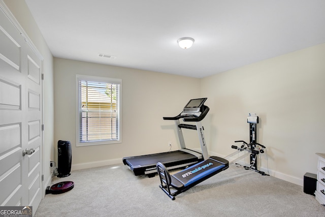133 Coldwater Ln, Griffin, GA 30224 - exercise area with carpet flooring