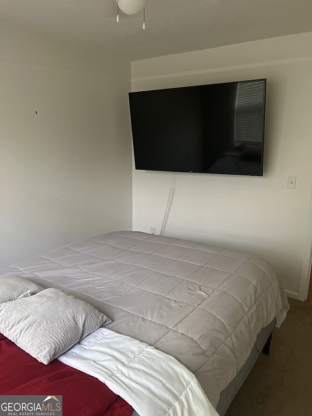 1263 Brookstone Rd, Atlanta, GA 30349 - view of carpeted bedroom