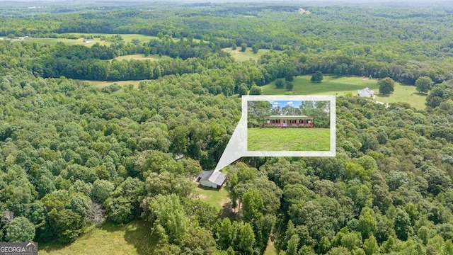 751 Hawkins Rd, Homer, GA 30547 - view of property location featuring a forest and property boundaries highlighted