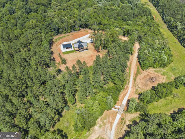 795 E Jones Chapel Rd, Danielsville, GA 30633 - view of subject property featuring a heavily wooded area
