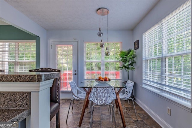 4348 Tillage Path, Douglasville, GA 30135 - dining area featuring plenty of natural light, baseboards, dark stone finish flooring, and a textured ceiling