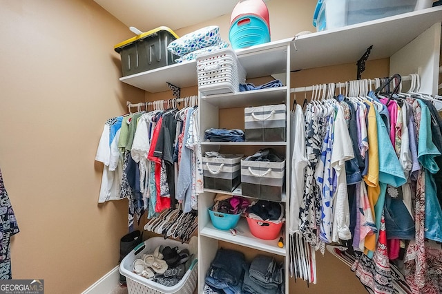 168 Observation Pt, Dallas, GA 30132 - view of walk in closet