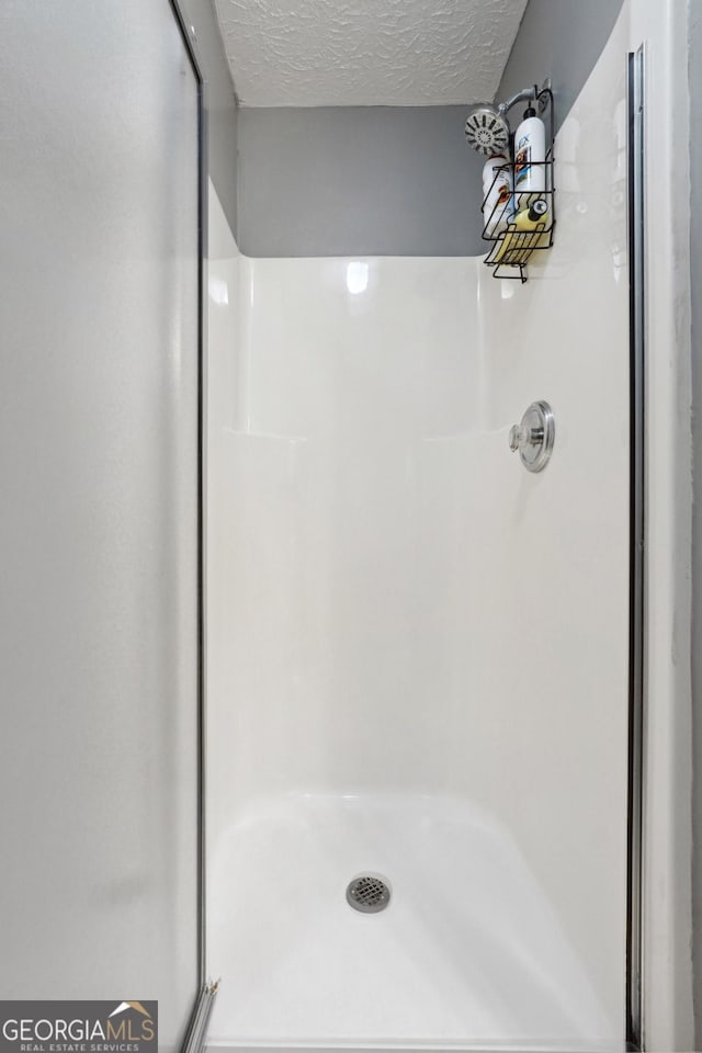 11529 Vinea Ln, Hampton, GA 30228 - full bath featuring a stall shower and a textured ceiling